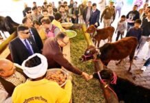 स्वच्छता और पशु सेवा से जुड़े कर्मियों का योगदान समाज के लिए अत्यंत महत्वपूर्ण: बृजेश पाठक
