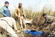 होली से पहले हिंडन खादर में आबकारी विभाग की दहाड़: ध्वस्त की अवैध शराब भट्टी, 1000 किलो लहन नष्ट