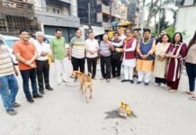 कौशांबी में सड़क निर्माण कार्य का शुभारंभ, विकास को मिलेगी नई रफ्तार