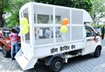 गाजियाबाद की सड़कों पर अब नहीं रहेगा आवारा कुत्तों का आतंक, नगर निगम ने उतारी नई डॉग कैचिंग वैन