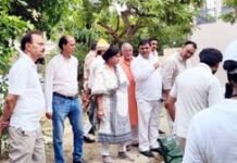 जनता की शिकायत पर पहुंचीं महापौर, पार्कों में कब्जे, गंदगी और आरोपों से मचा हड़कंप