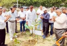 ‘एक पेड़ मां के नाम’ अभियान के तहत ग्रेनो को हरा-भरा बनाने की मुहिम