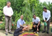 मुख्यमंत्री के नेतृत्व में “एक पेड़ माँ के नाम 3.0” अभियान को नोएडा प्राधिकरण ने दिया नया आयाम, शहरभर में हुआ वृहद वृक्षारोपण