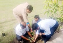 अवैध शराब पर वार के साथ हरियाली की जिम्मेदारी, आबकारी विभाग ने दिया पर्यावरण संरक्षण का संदेश