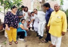 ‘एक पेड़ मां के नाम’ से हरियाली का संदेश, कौशांबी में करोड़ों की विकास परियोजनाओं का भी हुआ ऐलान