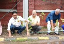 75 पौधों से हरियाली की पहल, विशेषज्ञों ने दिया स्वस्थ जीवन का मंत्र