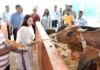 नंदी पार्क की व्यवस्था देख दुग्ध आयुक्त बोलीं- यूपी की मॉडल गौशालाओं में शामिल करने योग्य