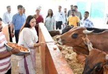 नंदी पार्क की व्यवस्था देख दुग्ध आयुक्त बोलीं- यूपी की मॉडल गौशालाओं में शामिल करने योग्य