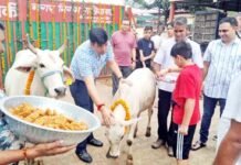 जन्माष्टमी पर मंदिरों में भक्ति के साथ स्वच्छता का संदेश, नगर निगम ने किया गौ पूजन